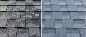 Can You Power Wash A Roof