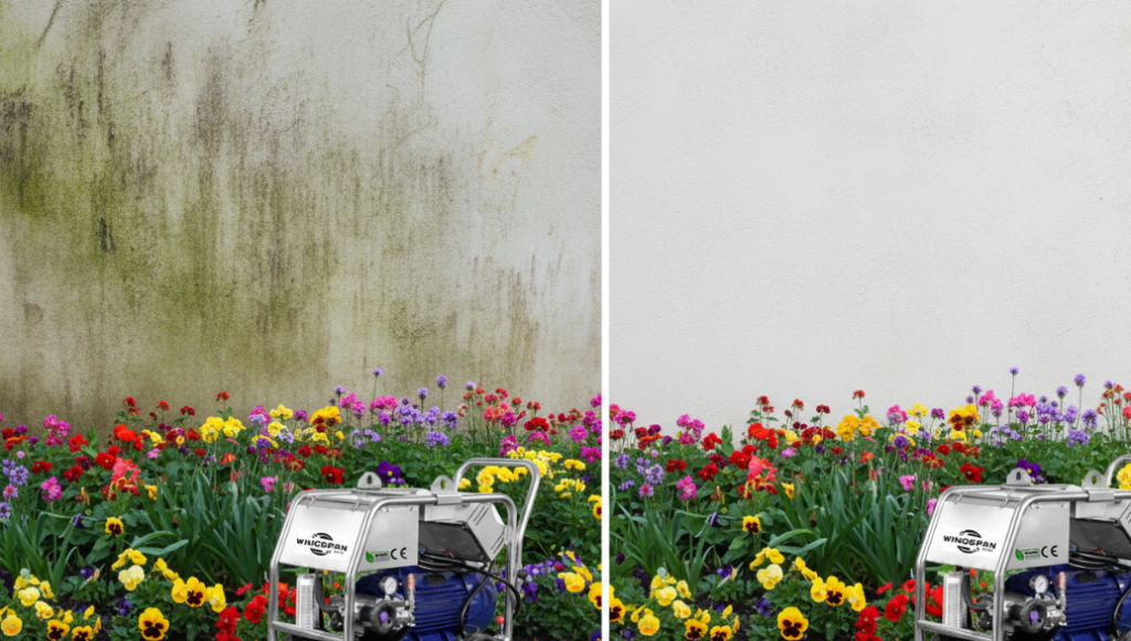 Comparación antes y después de la limpieza