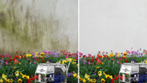 هل يضر الغسيل الكهربائي بالنباتات